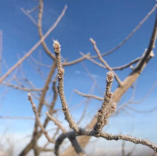 今朝は久しぶりに冷え込みました。
でも...