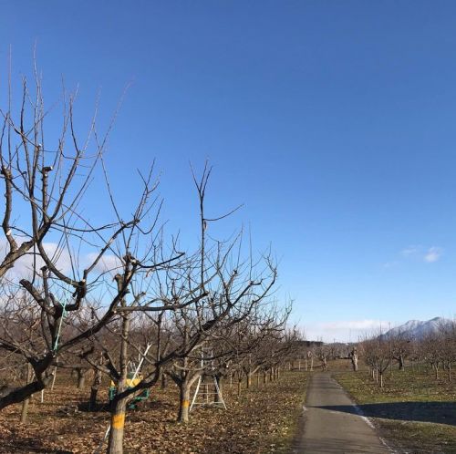 青い空。
朝から何だか気持ちいい。