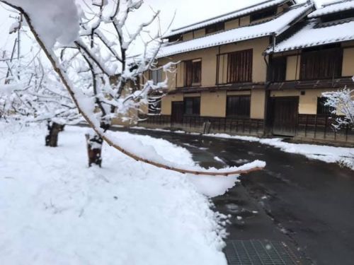 まさかこんなに積雪が！
3月の雪はすぐ...