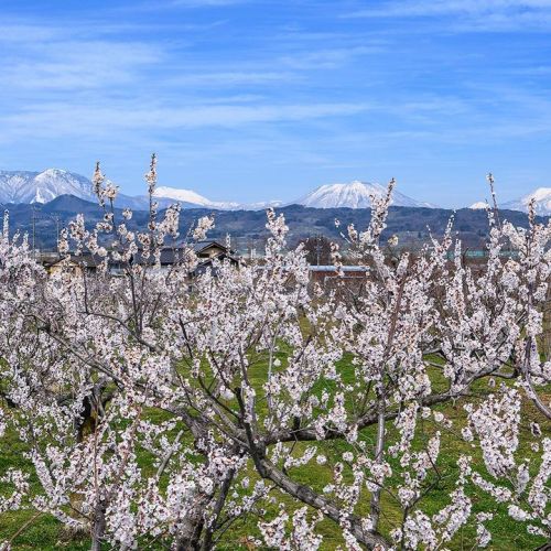 明けましておめでとうございます。
昨年...