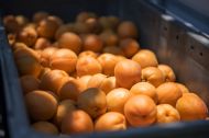 あんず信山丸 │ オンラインショップ │ 平松農場 │ 信州おぶせ